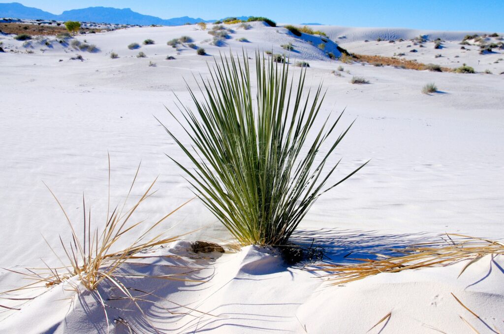 White Sands National Monument in New Mexico