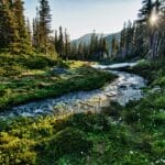 Olympic National Park