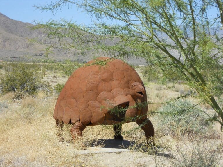 Wüsten-Kunst im Anza-Borrego Desert State Park - hier eine riesige Schildkröte aus rostendem Eisen mitten in der Wüstenlandschaft