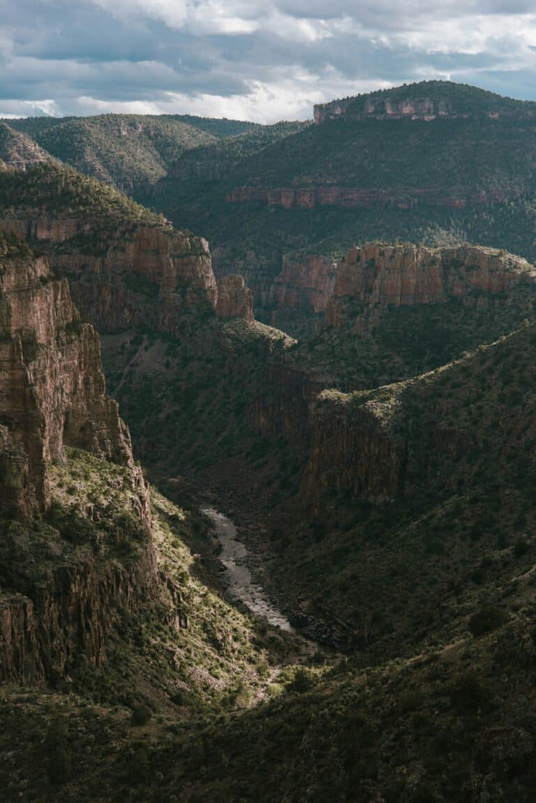 Blick hinab in den Salt River Canyon Arizona mit hoher Steilküste, Kakteen und viel Geröll